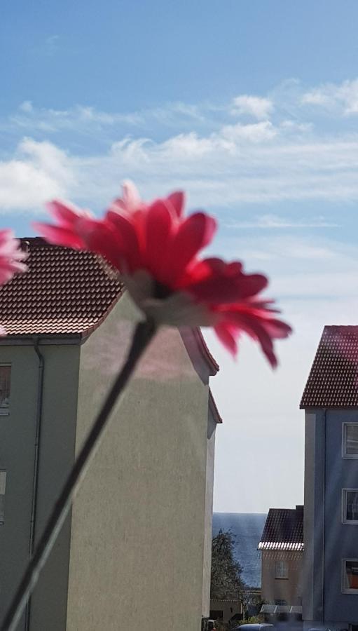 Apartment Deichkrone Sassnitz Εξωτερικό φωτογραφία